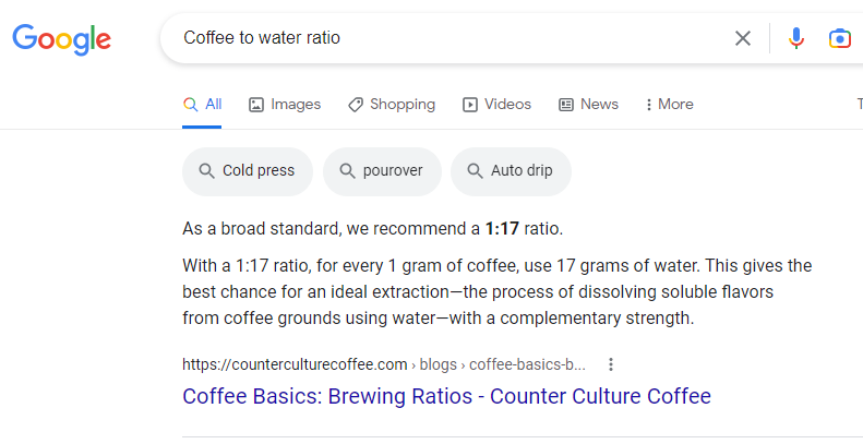 Google paragraph snippets example